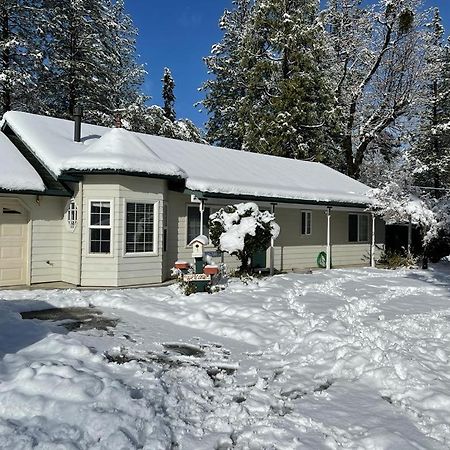 Acorn House - Charming House In Green Heaven With Pool Table With Lovely Backyard 奥克赫斯特 外观 照片