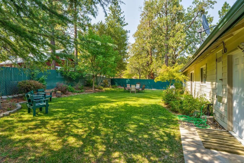 Acorn House - Charming House In Green Heaven With Pool Table With Lovely Backyard 奥克赫斯特 外观 照片