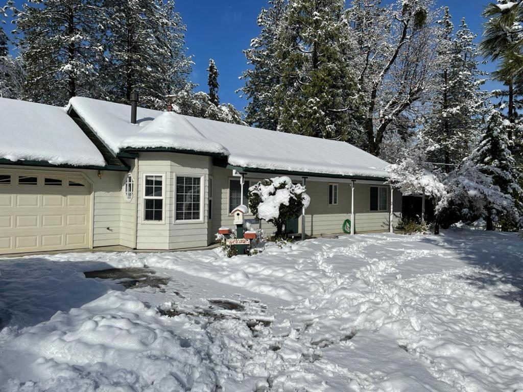 Acorn House - Charming House In Green Heaven With Pool Table With Lovely Backyard 奥克赫斯特 外观 照片